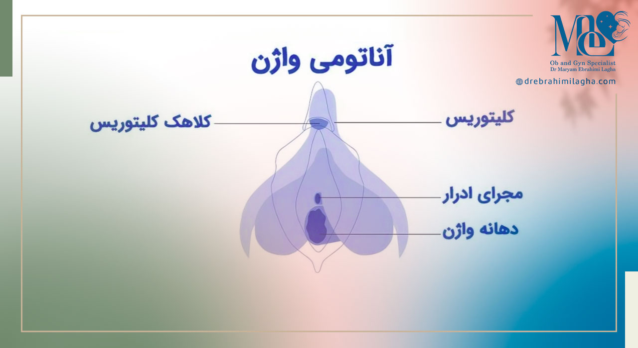 مراقبت های قبل از هودکتومی