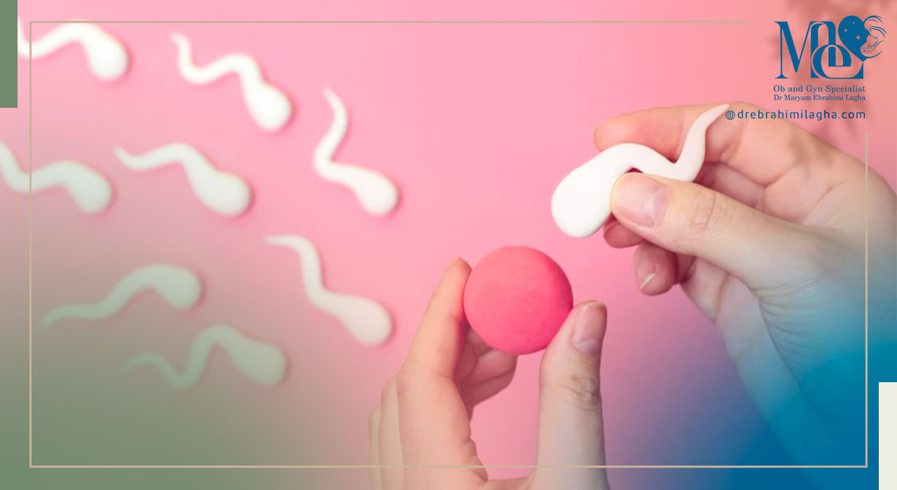 چگونه می توانیم به موفقیت iui کمک کنیم؟