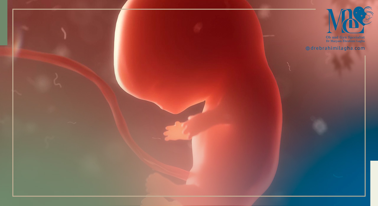 پیشگیری از سقط جنین