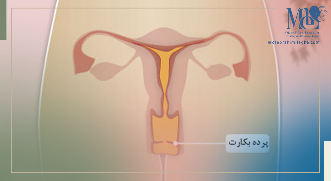 بررسی تغییرات پرده بکارت در طول زندگی