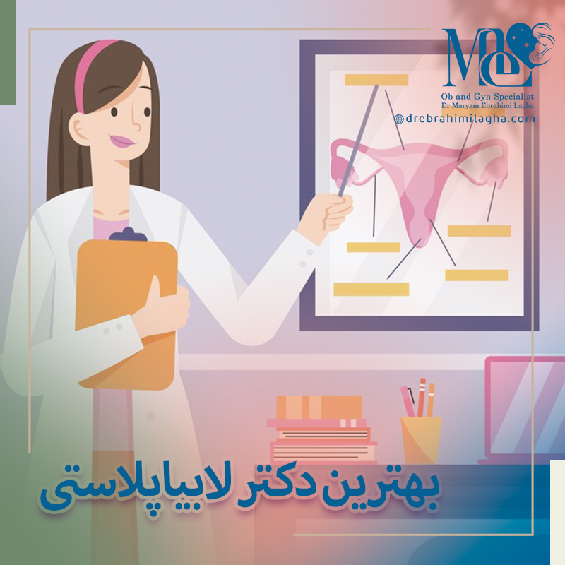 بهترین دکتر لابیاپلاستی